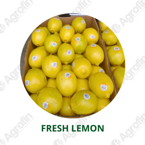 Fresh Lemon