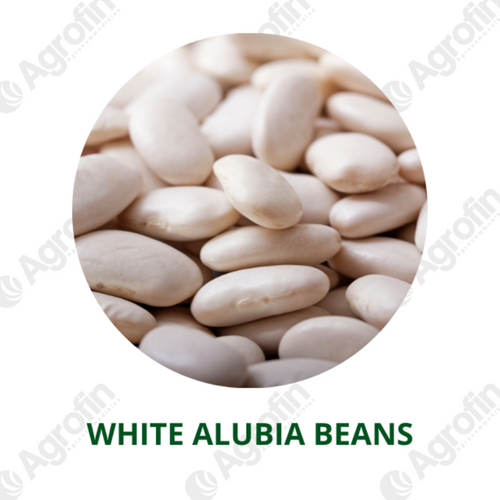 White AlubiaBeans