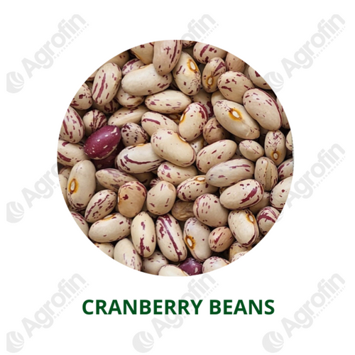 Cranberry Beans
