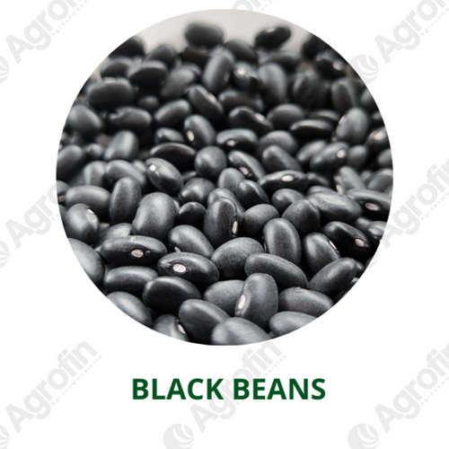 Black Beans
