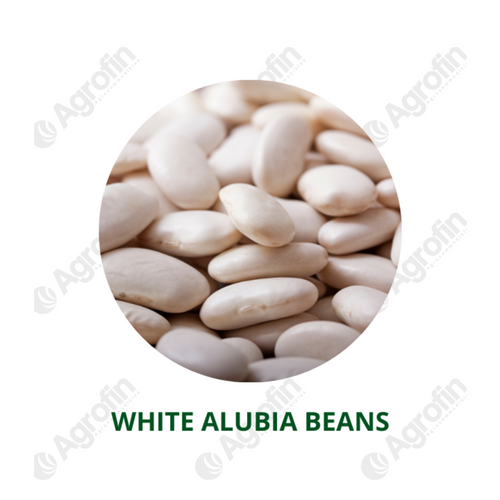 White AlubiaBeans