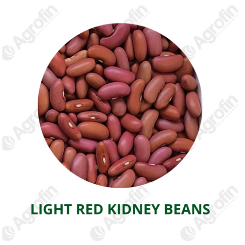 LRK beans
