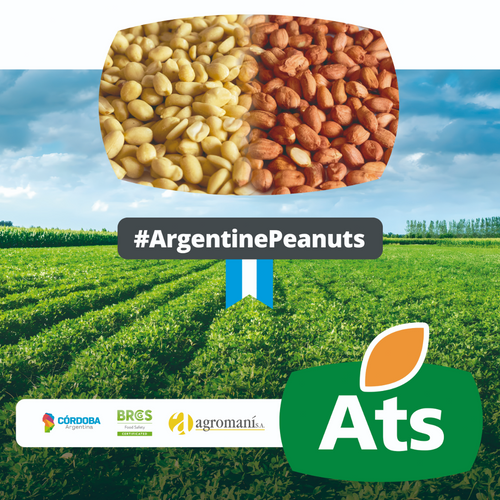 Argentine Peanuts Raw/Blanched