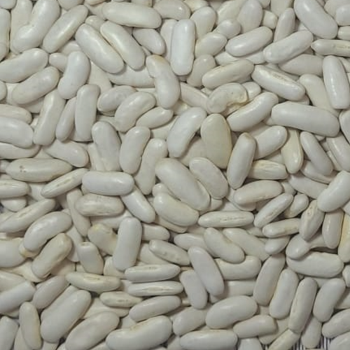 WHITE ALUBIA BEANS