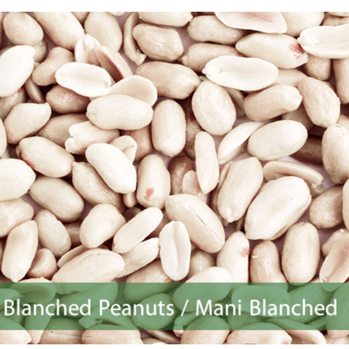 PEANUTS BLANCHED