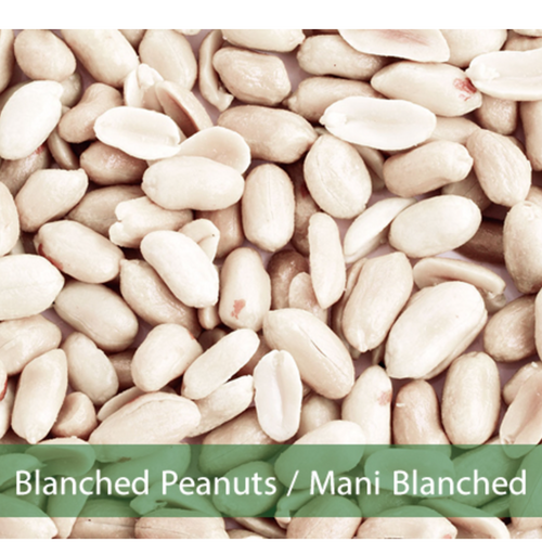 PEANUTS BLANCHED