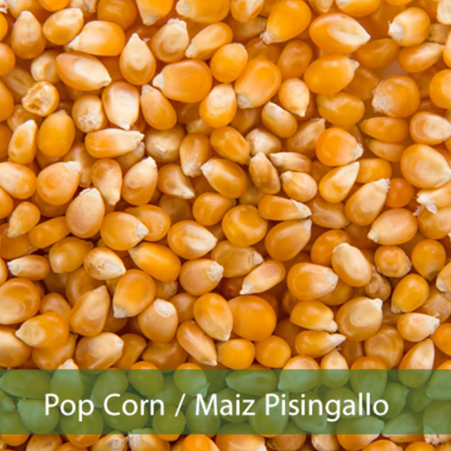 POP CORN