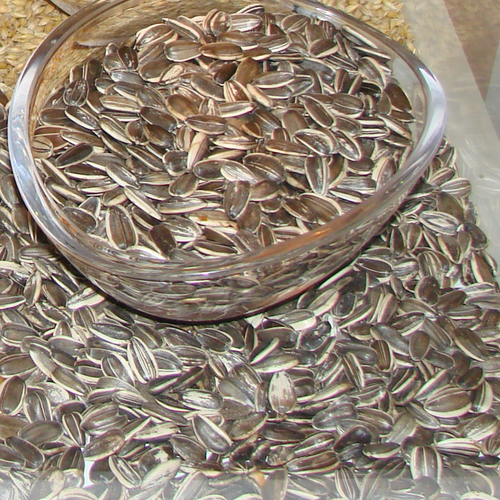 Popcorn / Sunflowerseeds