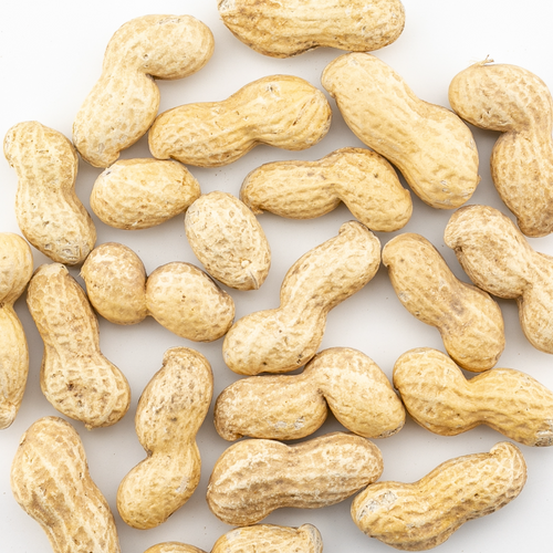 Roasted Virginia Peanuts Inshell