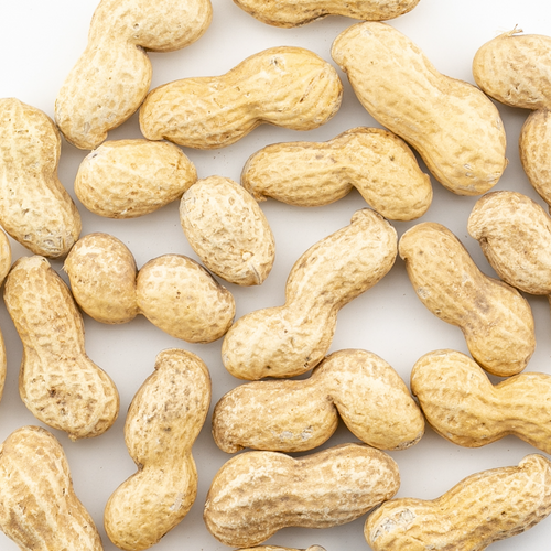 Roasted High Oleic Virginia Peanuts Inshell