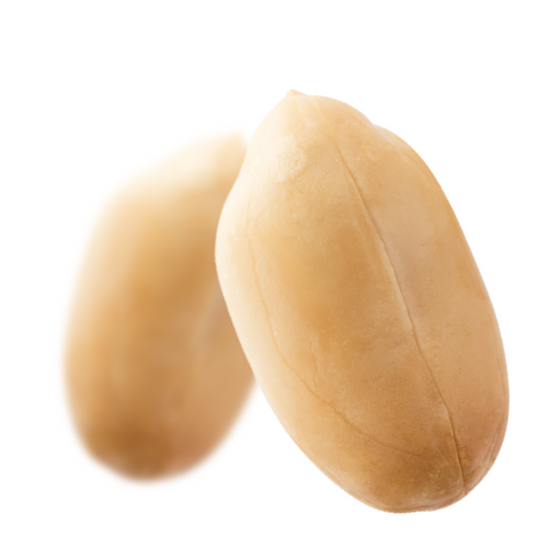 Roasted Runner Peanuts