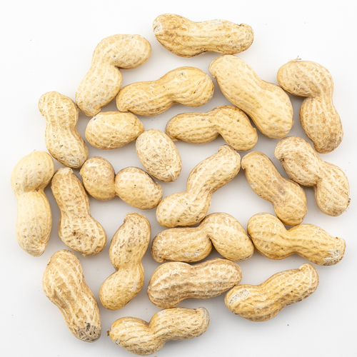 Roasted Virginia Peanuts Inshell