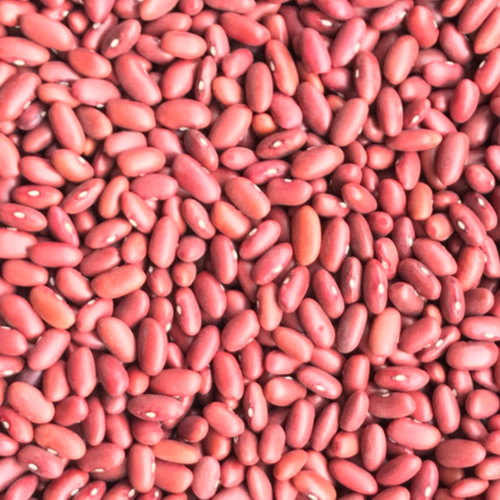 DARK AND LIGHT RED KIDNEY BEANS