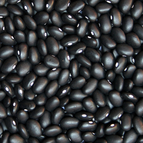 BLACK BEANS