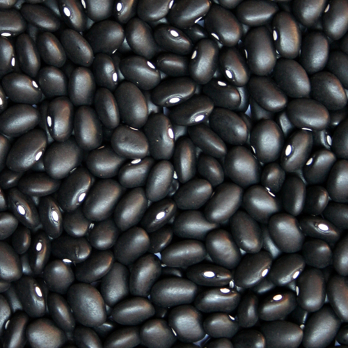 BLACK BEANS