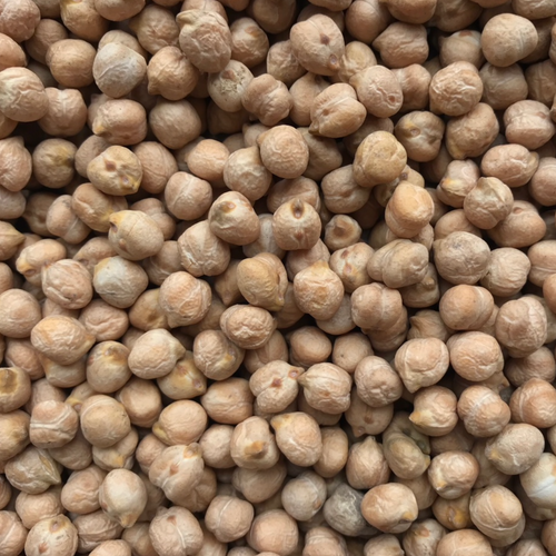 CHICKPEAS