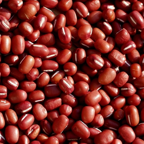 ADZUKI BEANS