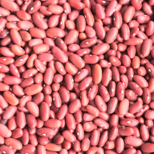 DARK AND LIGHT RED KIDNEY BEANS