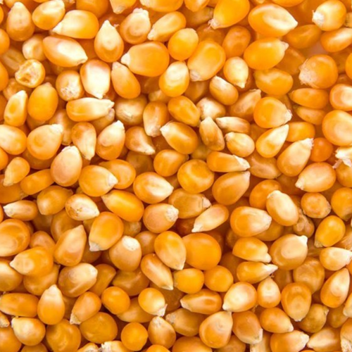 POPCORN