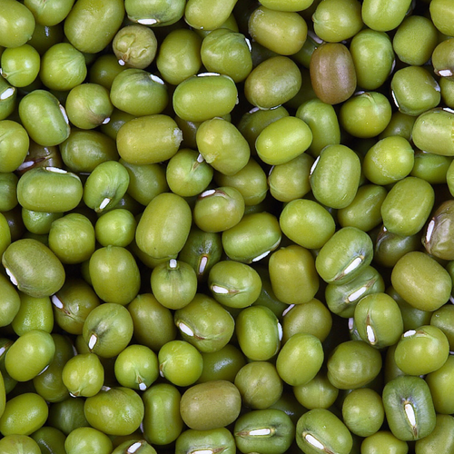 GREEN MUNG BEANS