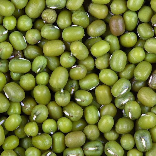 GREEN MUNG BEANS