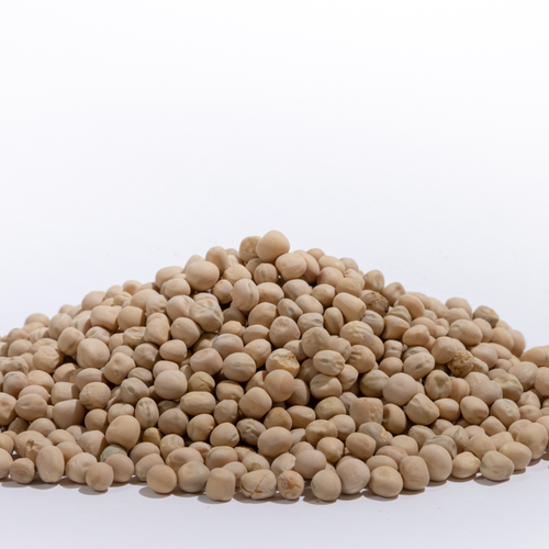 Yellow pea