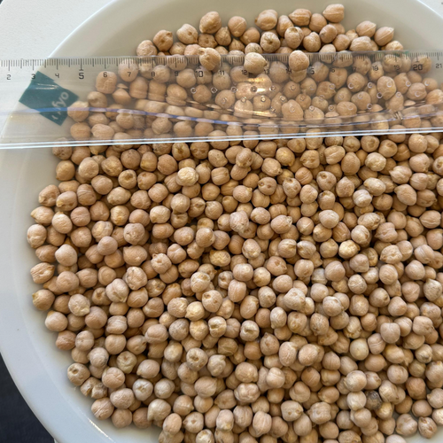 Dried Chickpeas