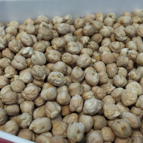 Chick Peas