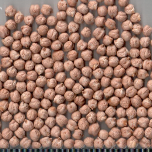 Chick Peas