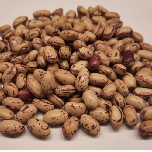 BEANS