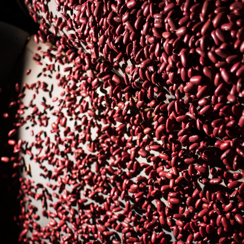 DARK BEANS