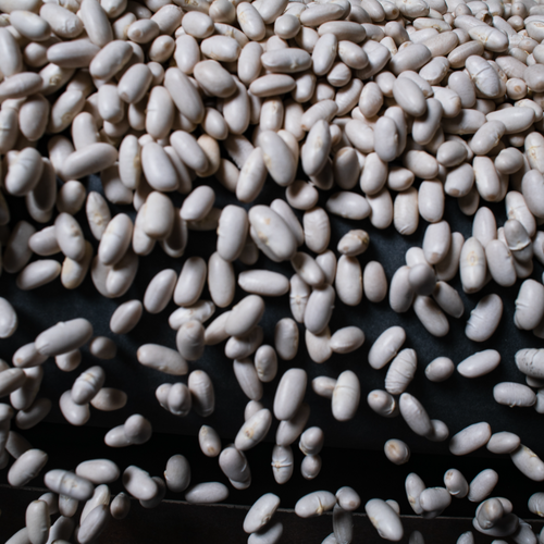 ALUBIA BEANS