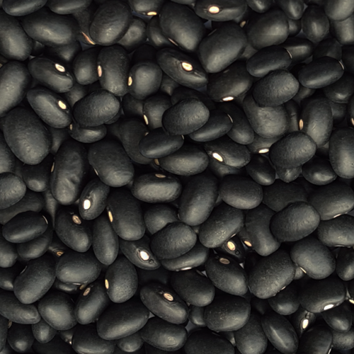 Black Beans