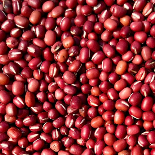 Adzuki Beans