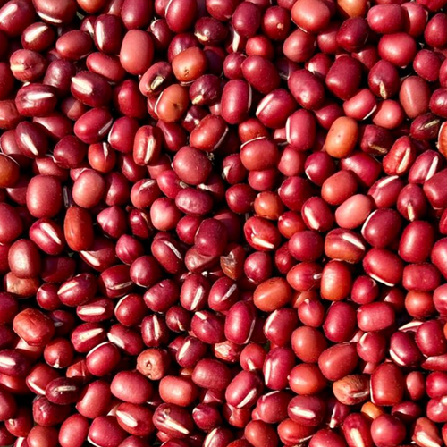 Adzuki Beans