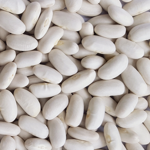Alubia Beans