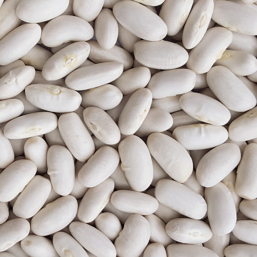 Alubia Beans