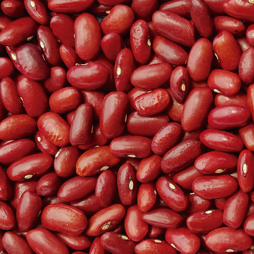 Dark Red Kidney Beans