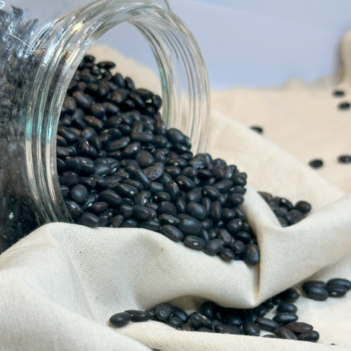 Black Beans