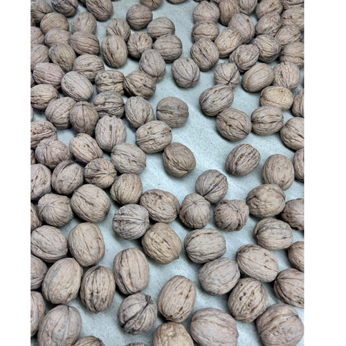 Nuts