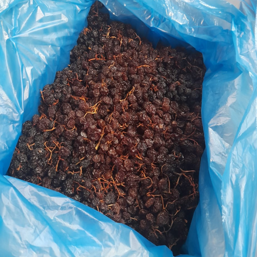 BROWN RAISIN WITH SEEDS IN BRANCHES