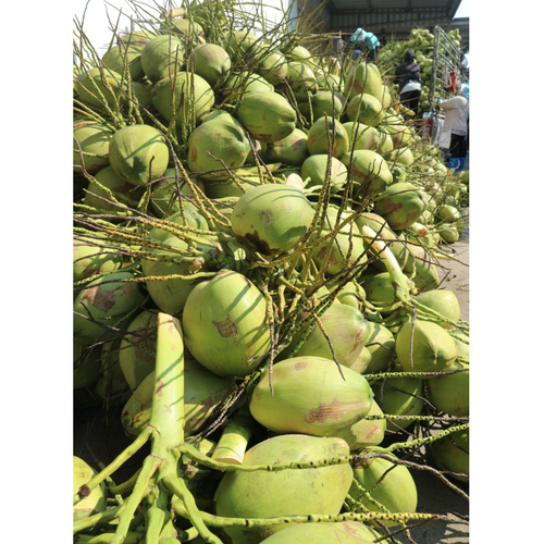 Aromatic Coconut Water