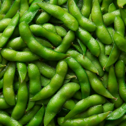 Frozen Green Soybeans