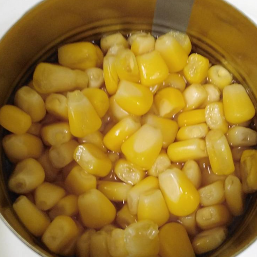 All Sweet corn type Canned Sweet Corn  Organic Canned Sweet Cor Sweet corn Thailand