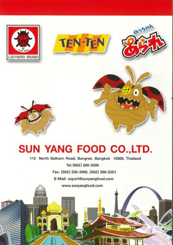 SYFBrochure