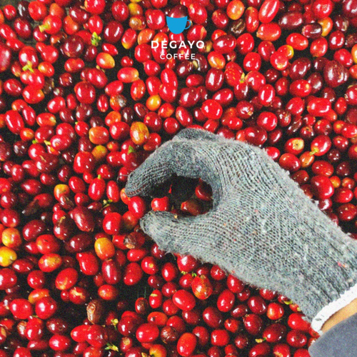The Brown Coffee Blend
