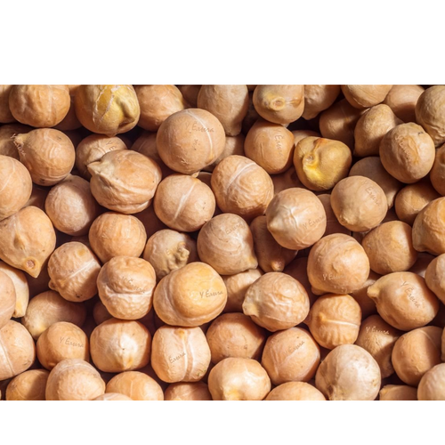 Chickpea