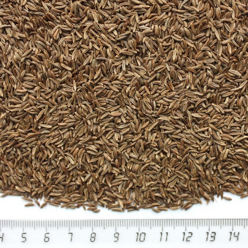 Caraway seeds