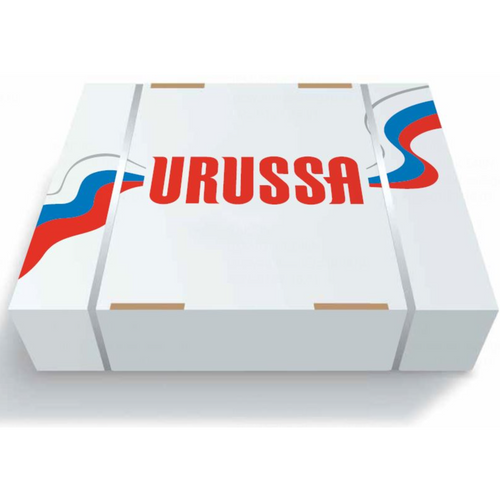 Frozen chicken leg ( (boneless, skin on/skinless) URUSSA