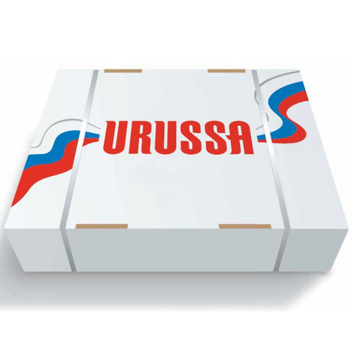 Frozen chicken thigh meat (boneless, skin on/skinless) URUSSA
